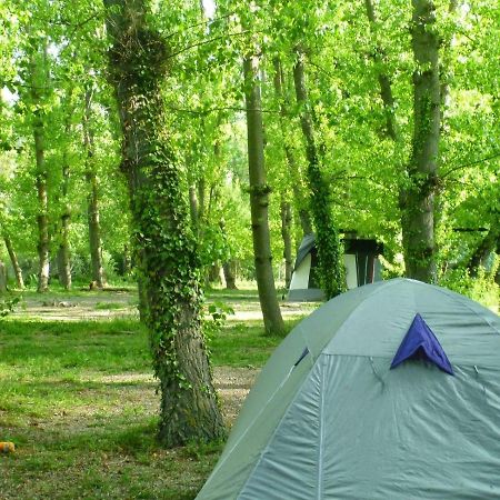 Camping Valle Del Andarax Fondón Zewnętrze zdjęcie