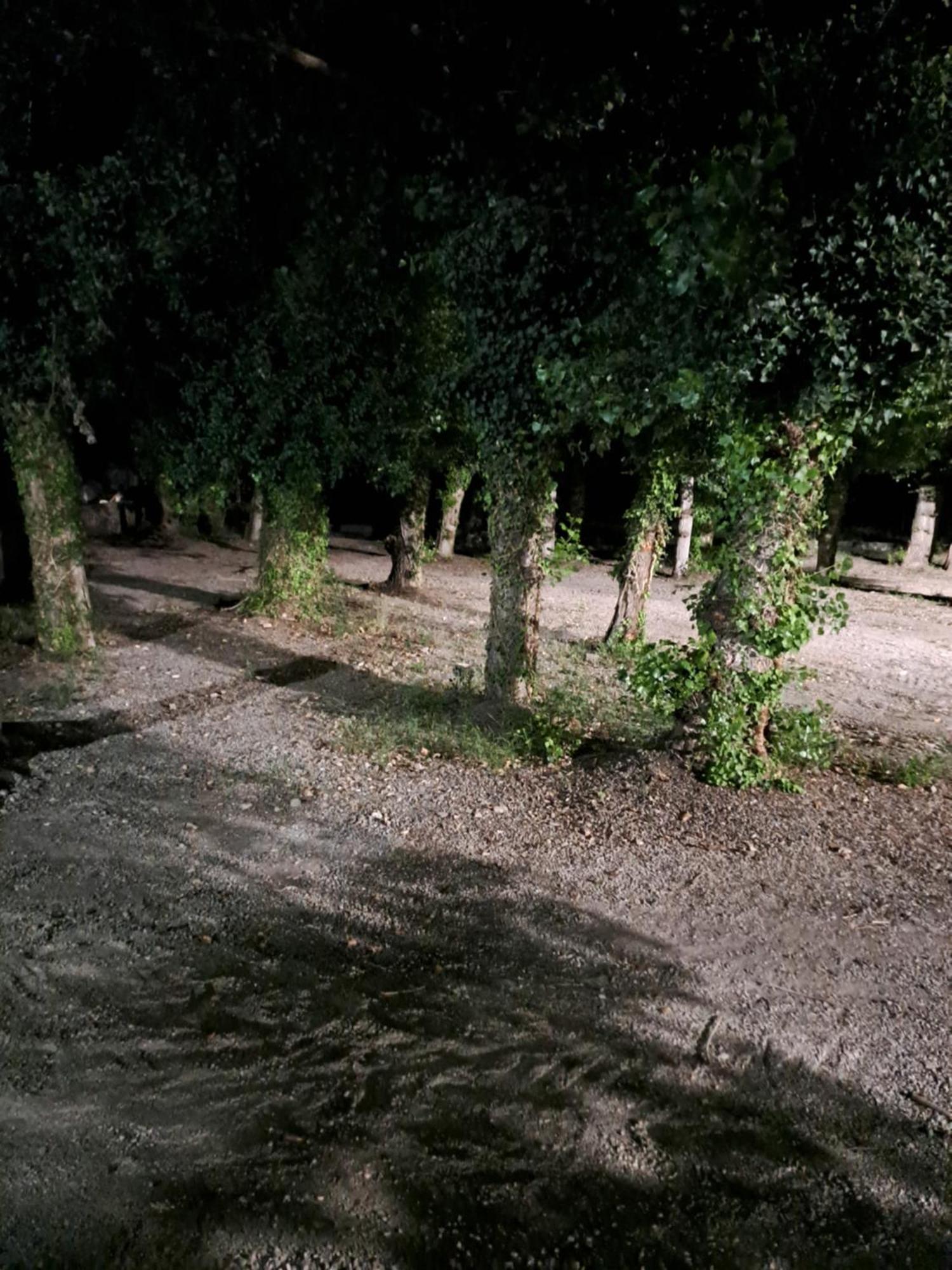 Camping Valle Del Andarax Fondón Zewnętrze zdjęcie